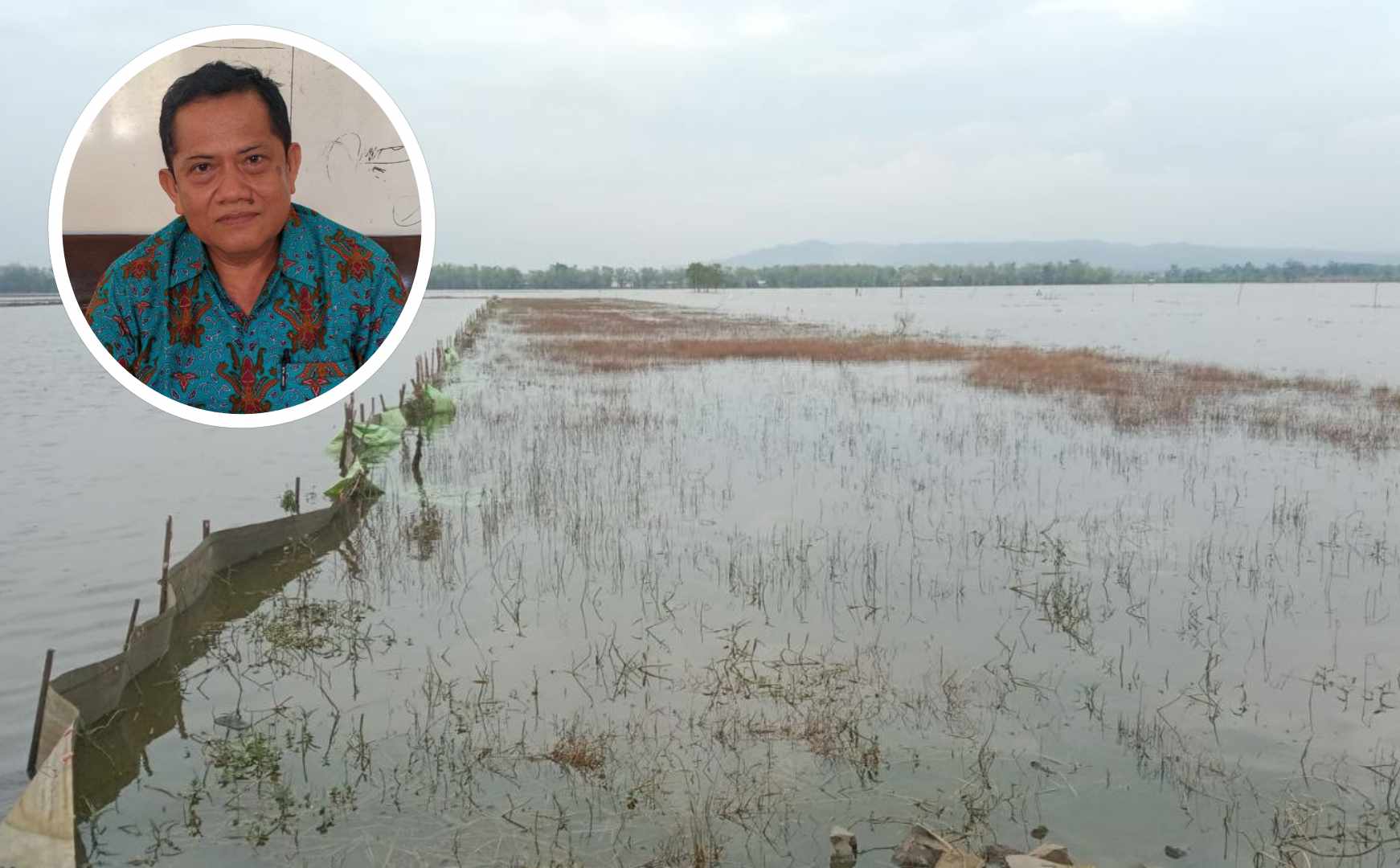 Terdampak Banjir, Klaim Asuransi Pertanian Pati Mencapai Rp658,9 Juta