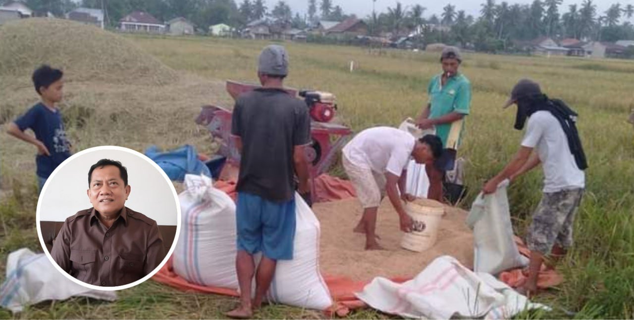 Raperda Perlindungan dan Pemberdayaan Petani Pati Dibahas Tahun Ini