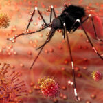 Virus Berbahaya yang Menular dari Nyamuk Ditemukan di Australia/iStock