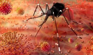 Virus Berbahaya yang Menular dari Nyamuk Ditemukan di Australia/iStock