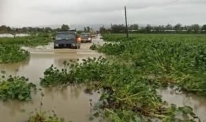 Foto : Kondisi Jalan Raya Kasiyan Sukolilo - Kudus Terendam banjir (Sumber : Mitrapost.com/ Anang SY)