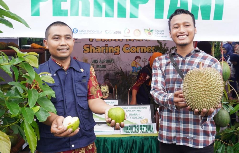 Varietas Buah Alpukat Lokal Jadi Juara di Festival Buah Nusantara Batang