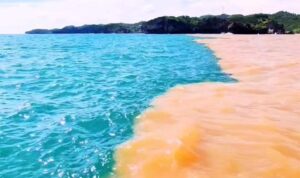 Perairan di Pantai Baron Punya Dua Warna, Berikut Penyebabnya/istimewa