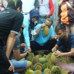 Foto: Antuasias Pembeli memilih buah durian/mitrapost.com/Istimewa