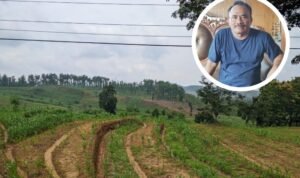 Lahan Kendeng Kritis, Upaya Penghijauan Butuhkan Waktu Hingga 25 Tahun