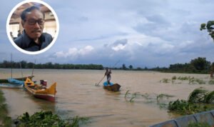 Berbulan-bulan Terendam Banjir, DPRD Pati Dorong Pemkab Berikan Bantuan Pertanian Berbulan-bulan Terendam Banjir, DPRD Pati Dorong Pemkab Berikan Bantuan Pertanian