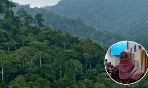 Dewan Harapkan SK Perhutanan Sosial Bisa Angkat Perekonomian Masyarakat