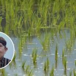 Tak Hanya Benih, Dewan Pati Minta Petani Terdampak Puso Dapatkan Bantuan Pupuk Tak Hanya Benih, Dewan Pati Minta Petani Terdampak Puso Dapatkan Bantuan Pupuk