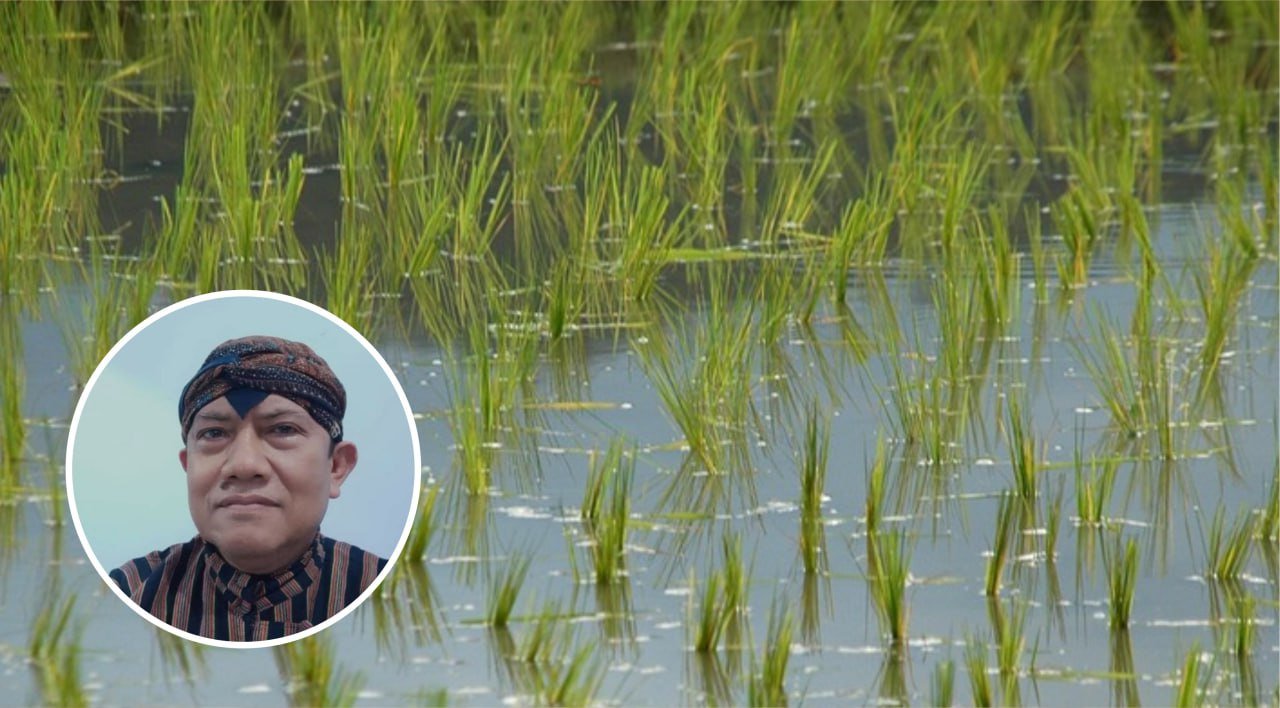 Tak Hanya Benih, Dewan Pati Minta Petani Terdampak Puso Dapatkan Bantuan Pupuk