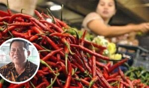 Jelang Ramadan, Harga Cabai di Pati Tembus Rp85 Ribu Jelang Ramadan, Harga Cabai di Pati Tembus Rp85 Ribu