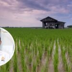Pemupukan Model Presisi Dinilai Lebih Bagus Diterapkan