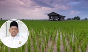 Pemupukan Model Presisi Dinilai Lebih Bagus Diterapkan Pemupukan Model Presisi Dinilai Lebih Bagus Diterapkan