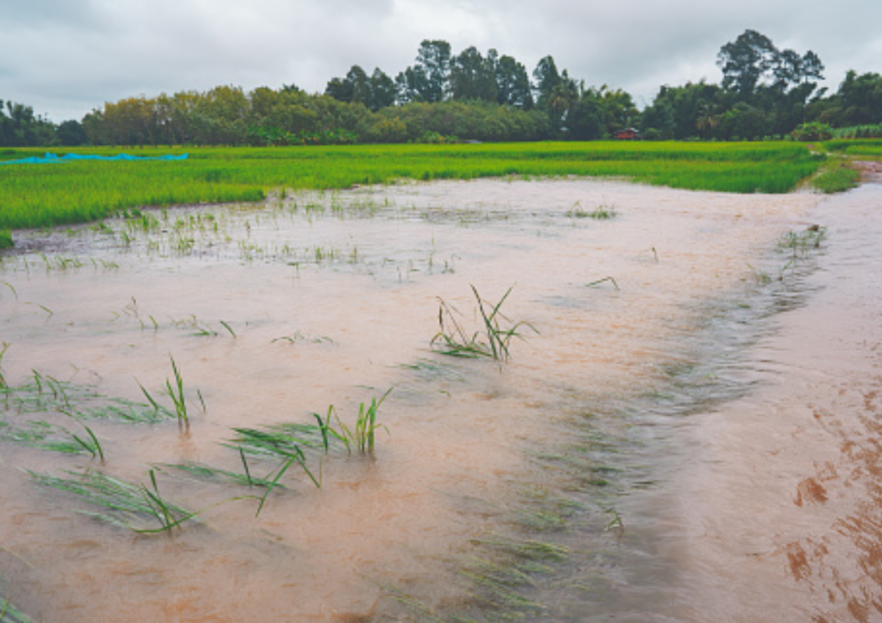 Tangani Bencana di Pati, Bappeda Gelar FGD Solusi Mengatasi Banjir