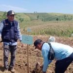 Dewan Pati Ingatkan Gundulnya Hutan Bukan Faktor Utama Penyebab Banjir
