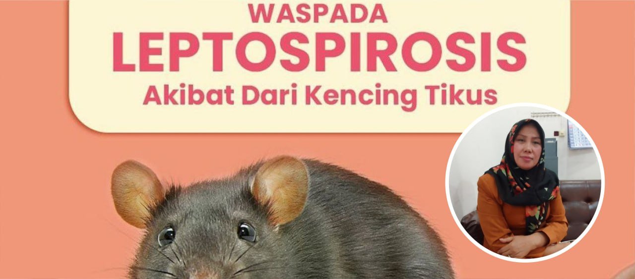 Waspada Penyakit Leptospirosis, Ini Permintaan Dewan