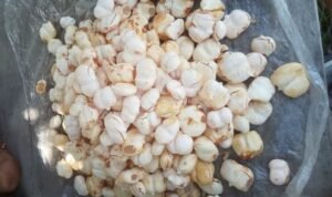 Foto : Buah siwalan hasil panen di daerah Rembang. (Sumber : mitrapost.com / Putri Asia )