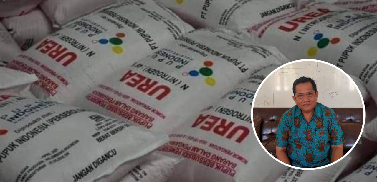 Dewan Pati Harapkan Pemerintah Tingkatkan Pengawasan Pupuk Palsu Dewan Pati Harapkan Pemerintah Tingkatkan Pengawasan Pupuk Palsu