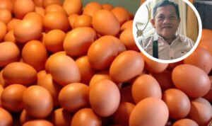 Harga Telur Melejit, Komisi B DPRD Pati Berikan Komentar Harga Telur Melejit, Komisi B DPRD Pati Berikan Komentar