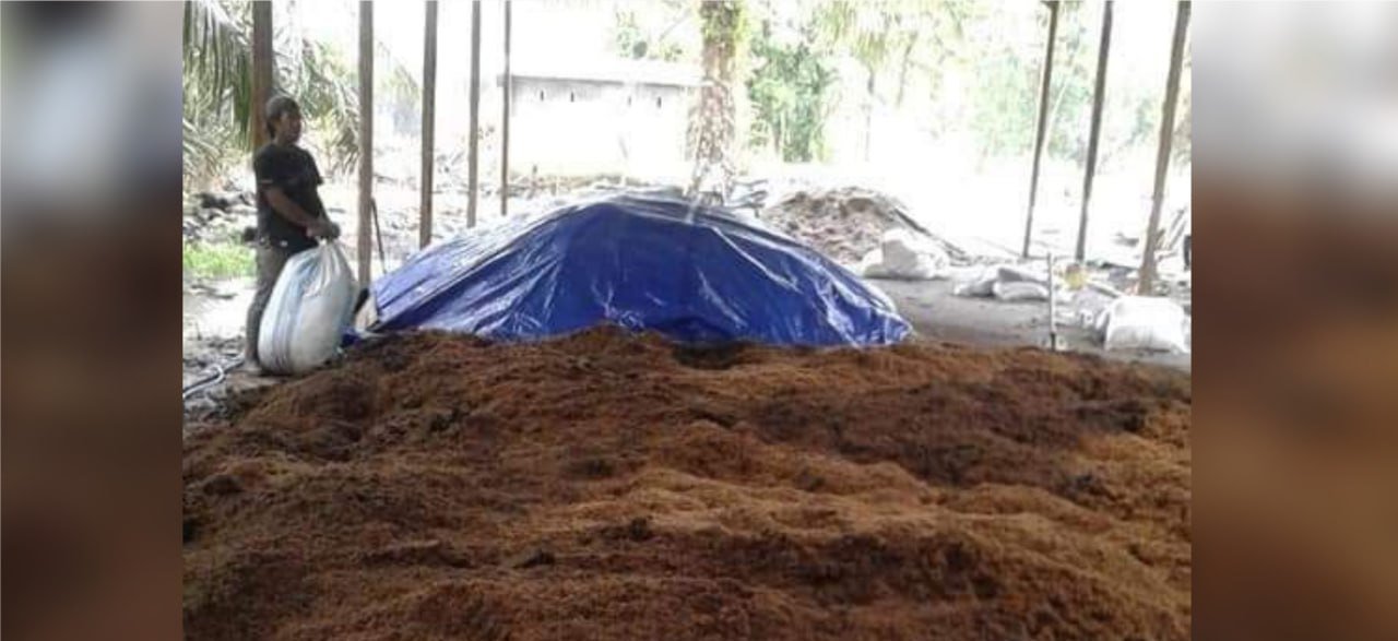 Pati Dinilai Mampu Beralih dari Pupuk Kimia ke Organik Pati Dinilai Mampu Beralih dari Pupuk Kimia ke Organik