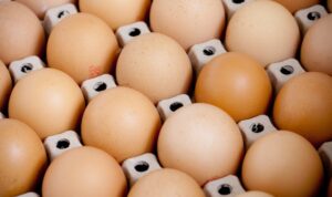 Foto: Ilustrasi telur ayam (Sumber: unsplash)