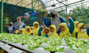 Mini Agrowisata DKPP Surabaya Jadi Destinasi Favorit Masyarakat