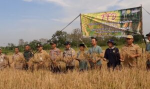Petani Rembang Sukses Panen Padi Semi Organik di Tengah Musim Kemarau