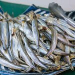 Manfaat Konsumsi Ikan Shisamo/iStock