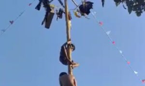 Foto : Serunya lomba panjat pinang di Desa Jimbaran Rt 07 Rw 01 (Sumber : Dok. Pribadi )