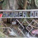 Foto : Lokasi Sendang Sumber Dodo Jimbaran yang jadi titik ketujuh (Sumber : Istimewa )
