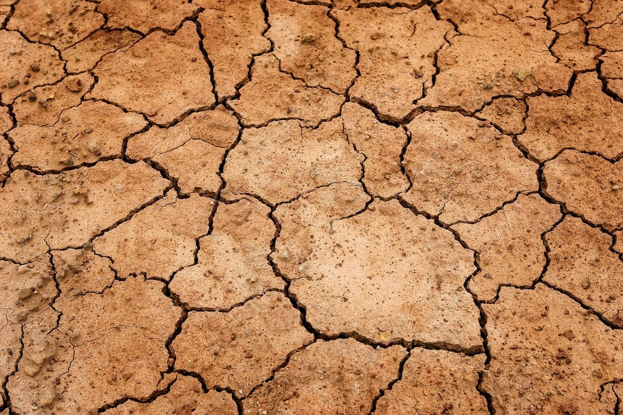 Foto: Ilustrasi Kekeringan Akibat El Nino (Sumber: pixabay)