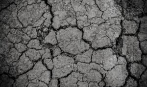 Foto: Ilustrasi kekeringan (Sumber: P[ixabay)