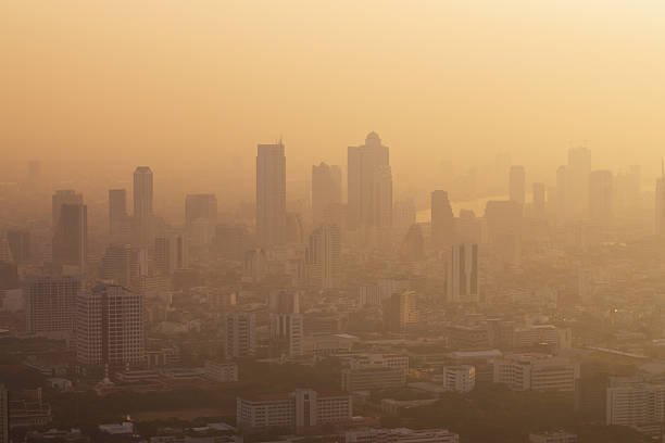 Kepala DLH Soroti Situs Pemantau Kualitas Udara/iStock