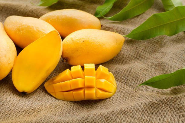 mangga