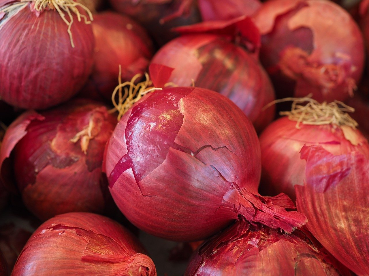 Foto: Ilustrasi bawang merah (Sumber: pixabay)