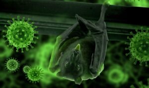 Foto: Ilustrasi virus Nipah (Sumber: pixabay)