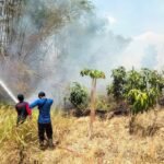 Foto : Salah satu kejadian kebakaran akibat bakar sampah sembarangan (Sumber : Dok.Damkar Pati)