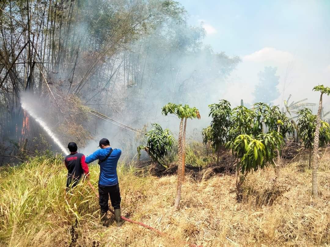 Foto : Salah satu kejadian kebakaran akibat bakar sampah sembarangan (Sumber : Dok.Damkar Pati)