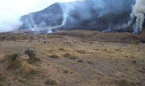 Kebakaran Lahan Alun-alun Surya Kencana Gunung Gede Capai Tiga Hektare