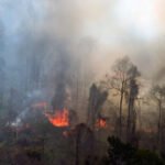 Foto: kebakaran di Ganung Lawu (Sumber: istimewa)