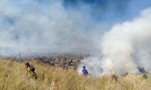 Foto: Kebakaran di Bromo (Sumber: istimewa)