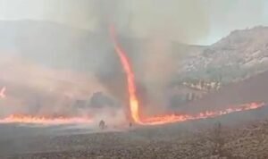 kebakaran bromo