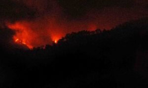 Foto: Kebakaran yang terjadi di lereng Gunung Argopuro (Sumber: istimewa)