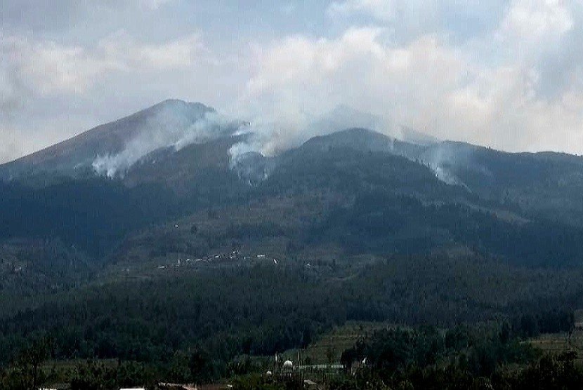 Foto: Ilustrasi kebakaran di hutan Gunung Merbabu (Sumber: istimewa)