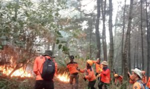 Foto: Kebakaran Hutan di Gunung Lawu (Sumber: istimewa)