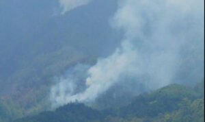 Foto: kebakaran di Bromo (Sumber: istimewa)