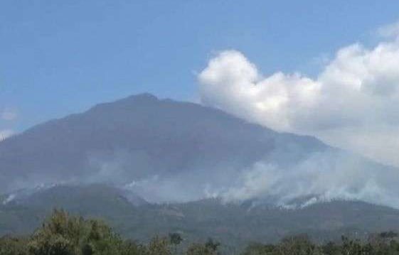 Foto: Ilustrasi kebakaran gunung Lawu (Sumber: istimewa)