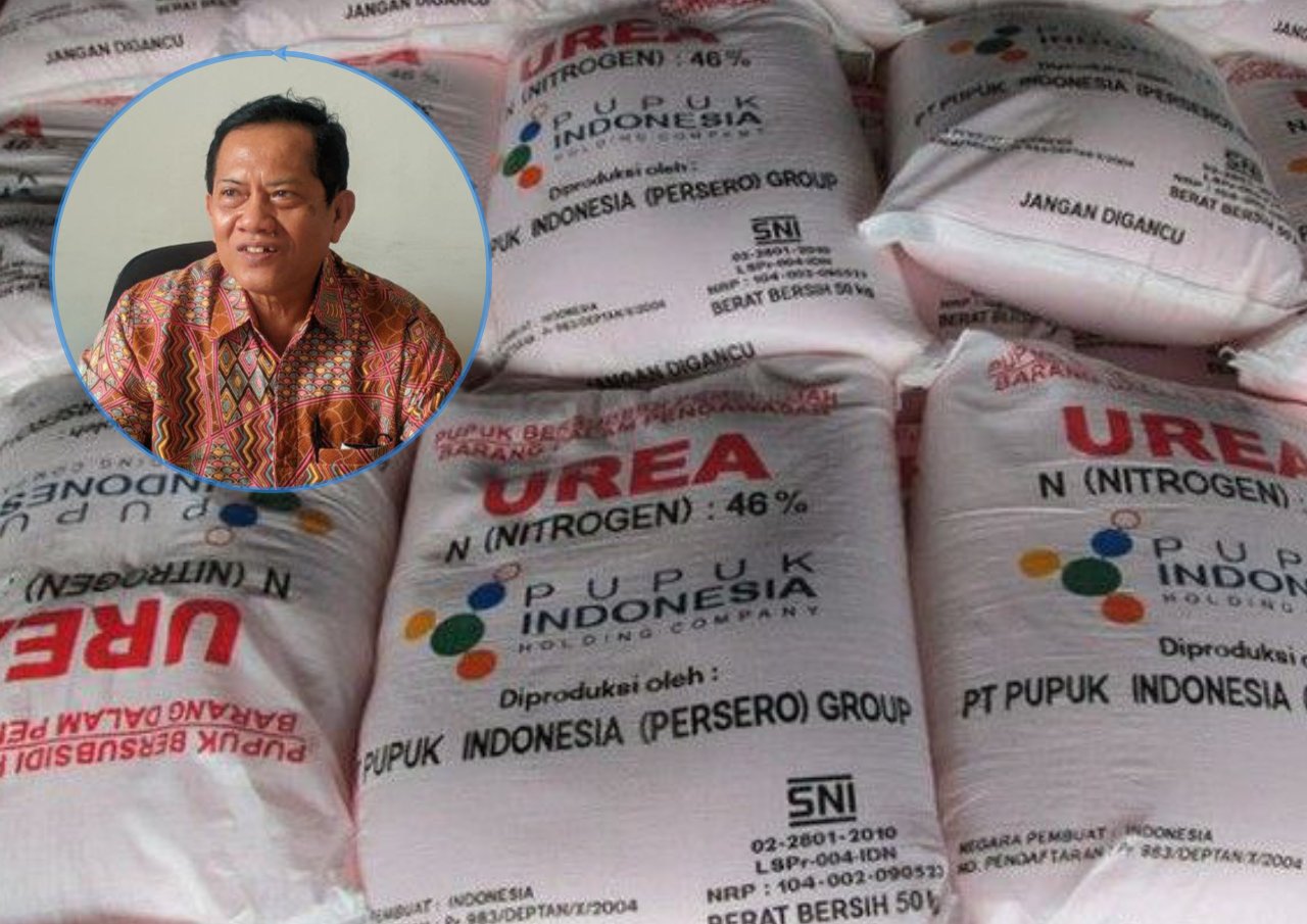 Foto: Ilustrasi pupuk subsidi (Sumber: istimewa) Foto: Ilustrasi pupuk subsidi (Sumber: istimewa)