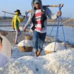Foto : Aktivitas petambak garam (Sumber : Istimewa)