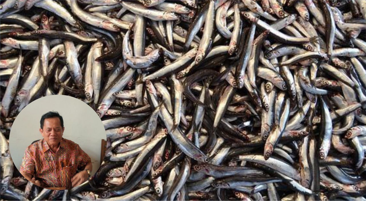 Foto : Ilustrasi benih ikan di perairan umun (Sumber : Istimewa)