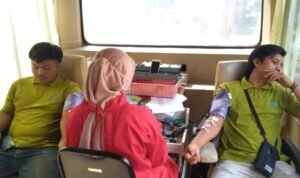 Foto: Ilustrasi donor darah (Sumber: istimewa)